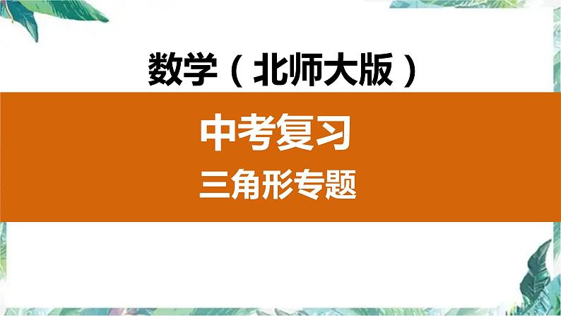 中考数学复习：三角形专题课件PPT第1页