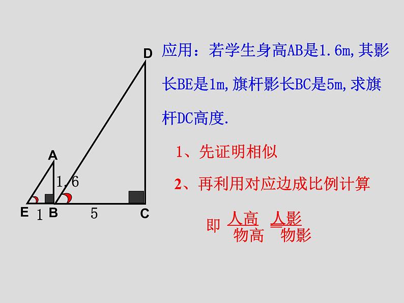 鲁教版（五四制）八年级下册数学 9.7利用相似三角形测高 课件06