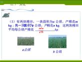 苏科版八年级下册数学 10.1分式 课件