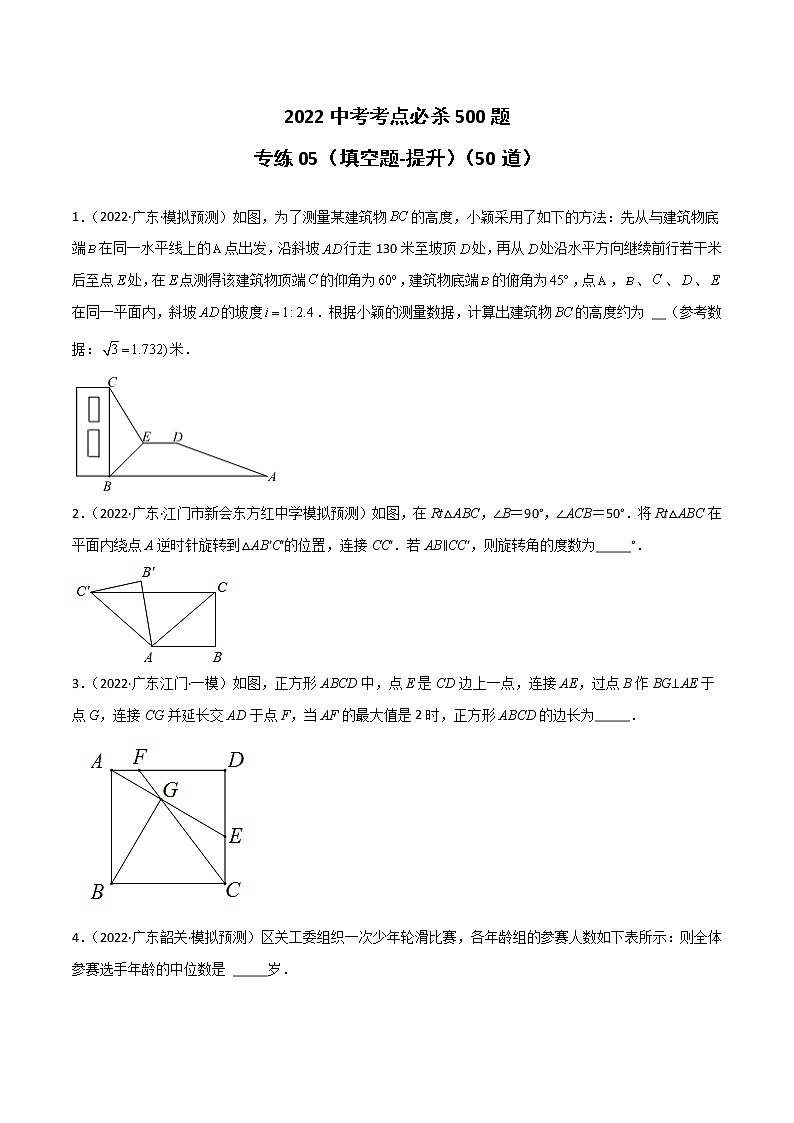 专练05（50题）（填空题-提升）-2022中考数学考点必杀500题（广东专用）01