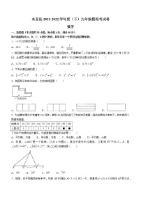 2022年安徽省池州市东至县中考模拟数学试题