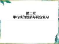 北师大版七年级下册3 平行线的性质复习ppt课件