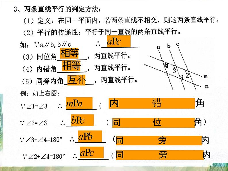 第二章平行线的性质与判定复习 课件PPT第4页