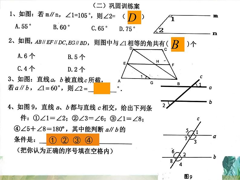 第二章平行线的性质与判定复习 课件PPT第5页