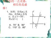 北师大版八年级下册平行线的判定与性质复习 优质课件