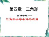 复习专题 三角形全等条件的应用 优质课件