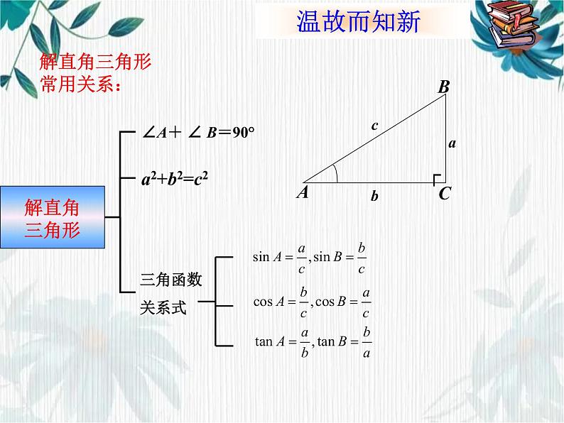 解直角三角形的应用 优质课件第2页