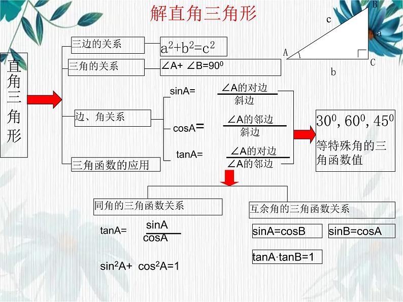 解直角三角形专项复习 优质课件第3页