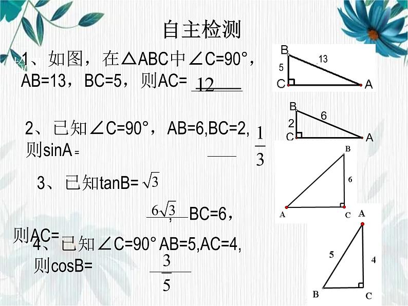 解直角三角形专项复习 优质课件第5页