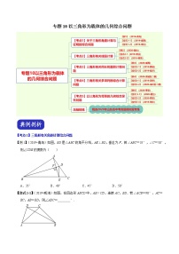 中考专题10以三角形为载体的几何综合问题（原卷版）