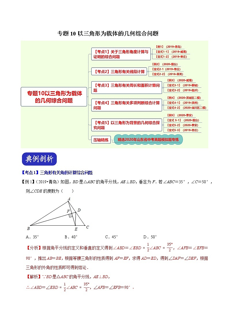 中考专题10以三角形为载体的几何综合问题（解析版）第1页