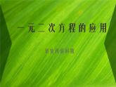 魯教版（五四制）八年級下冊數(shù)學 8.6一元二次方程的應用（3） 課件