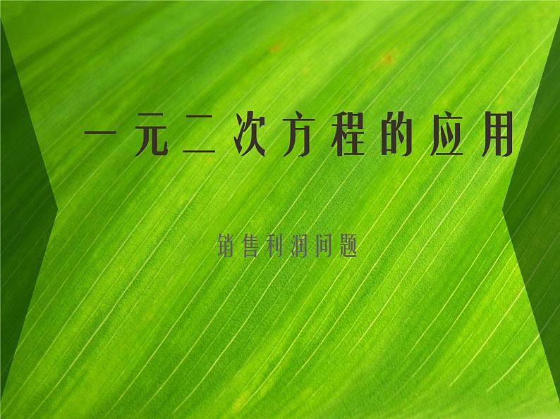 鲁教版（五四制）八年级下册数学 8.6一元二次方程的应用（3） 课件01