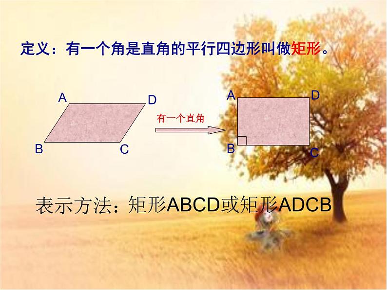 鲁教版（五四制）八年级下册数学 6.2.1矩形的性质 课件02