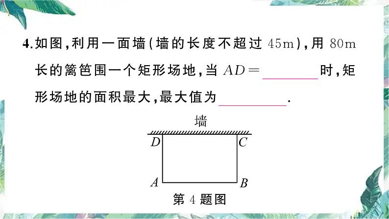 实际问题与二次函数 专项训练（课件64页)第6页