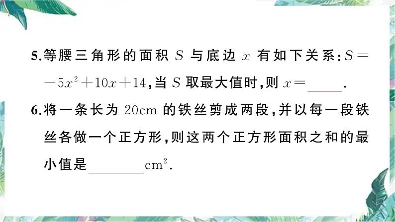 实际问题与二次函数 专项训练（课件64页)第7页