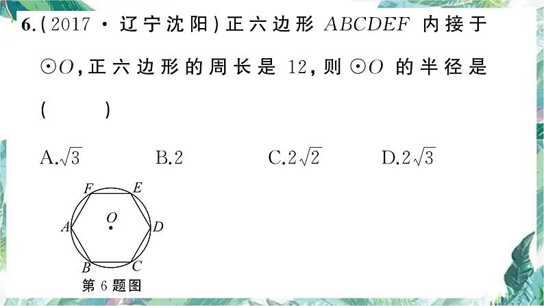 中考数学专题复习 正多边形与圆课件PPT第6页