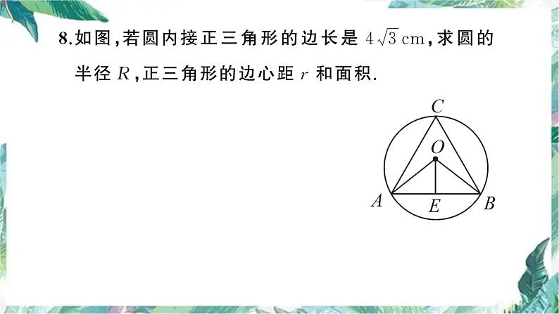 中考数学专题复习 正多边形与圆课件PPT第8页