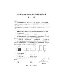 2022年河南省濮阳市初中毕业年级第一次模拟考试数学试卷(word版含答案)