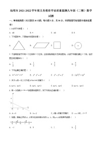 2022年广东省汕尾市九年级二模数学试题