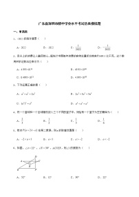 2022届广东省深圳市初中学业水平考试仿真模拟题解析版