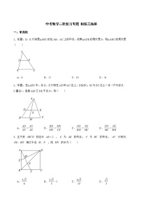 2022届中考数学二轮复习专题 相似三角形解析版