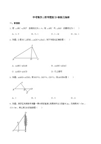 2022届中考数学二轮专题复习-相似三角形解析版