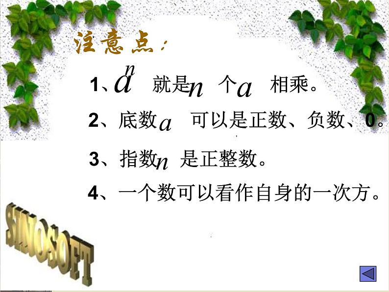 初中数学 华东师大2011课标版 七年级上册 有理数的乘方   课件第7页