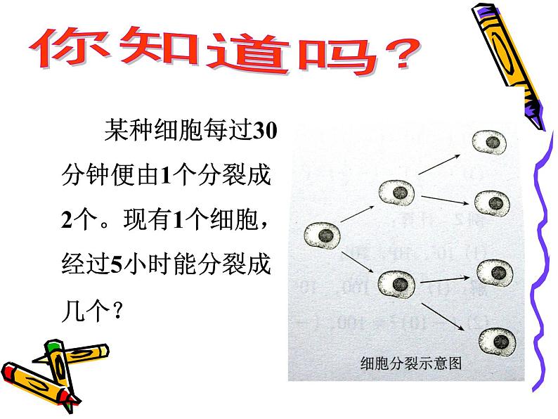 初中数学 华东师大2011课标版 七年级上册 有理数的乘方 课件第3页