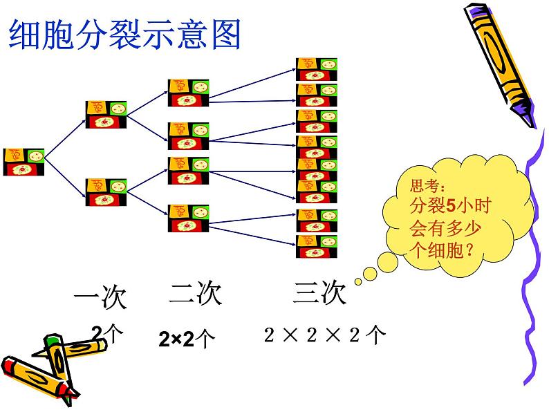 初中数学 华东师大2011课标版 七年级上册 有理数的乘方 课件第4页