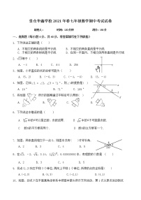 湖南省湘西州花垣县华鑫学校2020-2021学年七年级下学期期中考试数学试题（有答案）