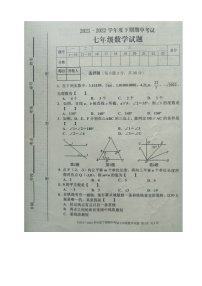 河南省周口市扶沟县2021-2022学年七年级下学期期中考试数学试卷（含答案）