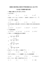 安徽省合肥市蜀山区琥珀中学教育集团2021-2022学年七年级下学期期中考试数学试卷（有答案）