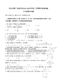 广东省肇庆四会市广附实验学校2021-2022学年八年级下学期期中考试数学试题（无答案）