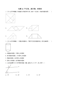 2022届中考数学专题练 专题12 平行线、展开图、对称性