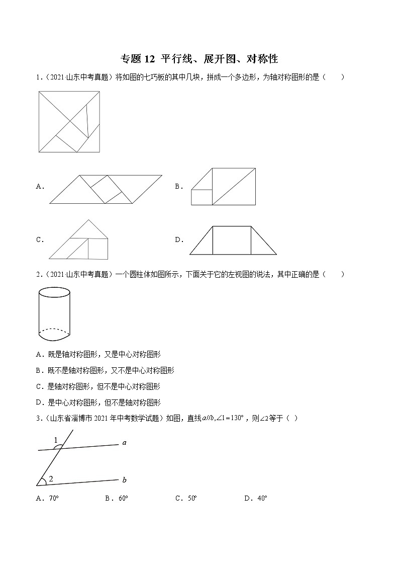 2022届中考数学专题练 专题12 平行线、展开图、对称性（原卷版）第1页