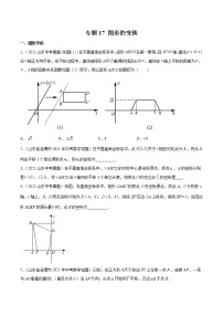 2022届中考数学专题练 专题17 图形的变换