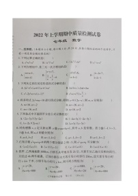 湖南省岳阳市临湘市2021-2022学年七年级下学期期中考试数学试题（含答案）