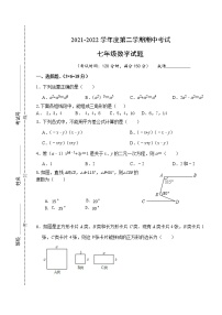 江苏省泰州市海陵区五校2021-2022学年七年级下学期期中考试数学试题(word版含答案)