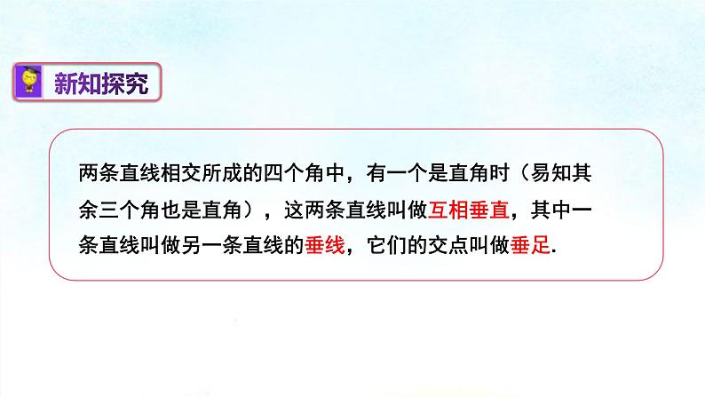 4-5垂线(课件)七年级数学下学期同步精讲课件 课后巩固练(湘教版)第4页