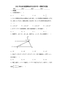 2022年山东省淄博市桓台县中考一模数学试题(word版含答案)