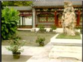 初中数学北师大版九上 用频率估计概率部优课件