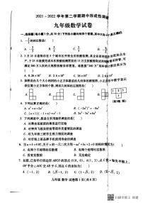 2021-2022学年河南省洛阳市洛龙区九年级下学期期中数学测试卷（无答案）