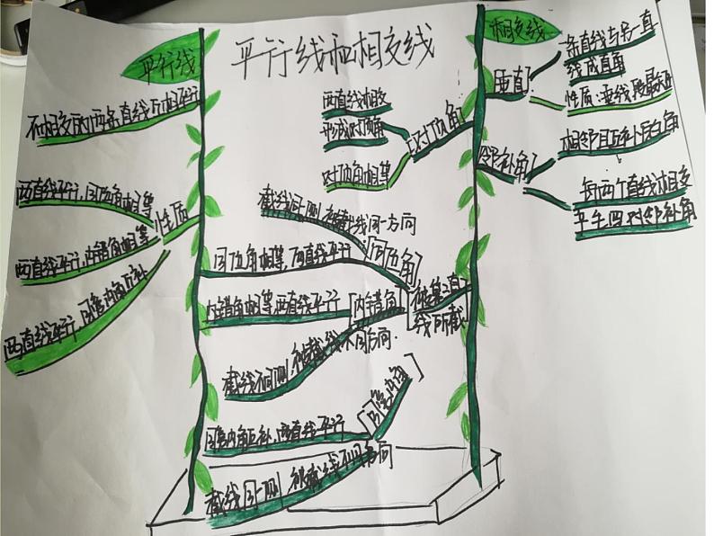 初中数学北师大版七下回顾与思考第二章相交线与平行线回顾与思考部优课件08