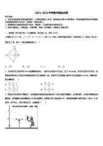 [全国市级联考]湖南省邵阳市重点中学2021-2022学年中考数学模拟预测试卷含解析