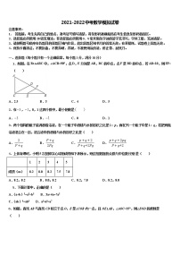 2021-2022学年安徽省宿州市宿城一中学中考数学模拟精编试卷含解析