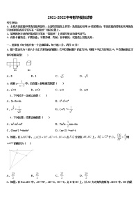 2021-2022学年福建省莆田市擢英中学中考数学模拟试题含解析