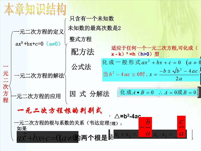 鲁教版（五四制）八年级下册数学 第八章 回顾与总结 一元二次方程的知识结构 课件04