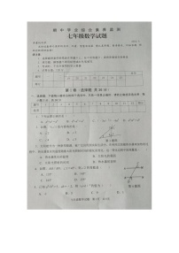 山东省枣庄市薛城区2021-2022学年鲁教版七年级下学期数学期中试题 （图片版含答案）