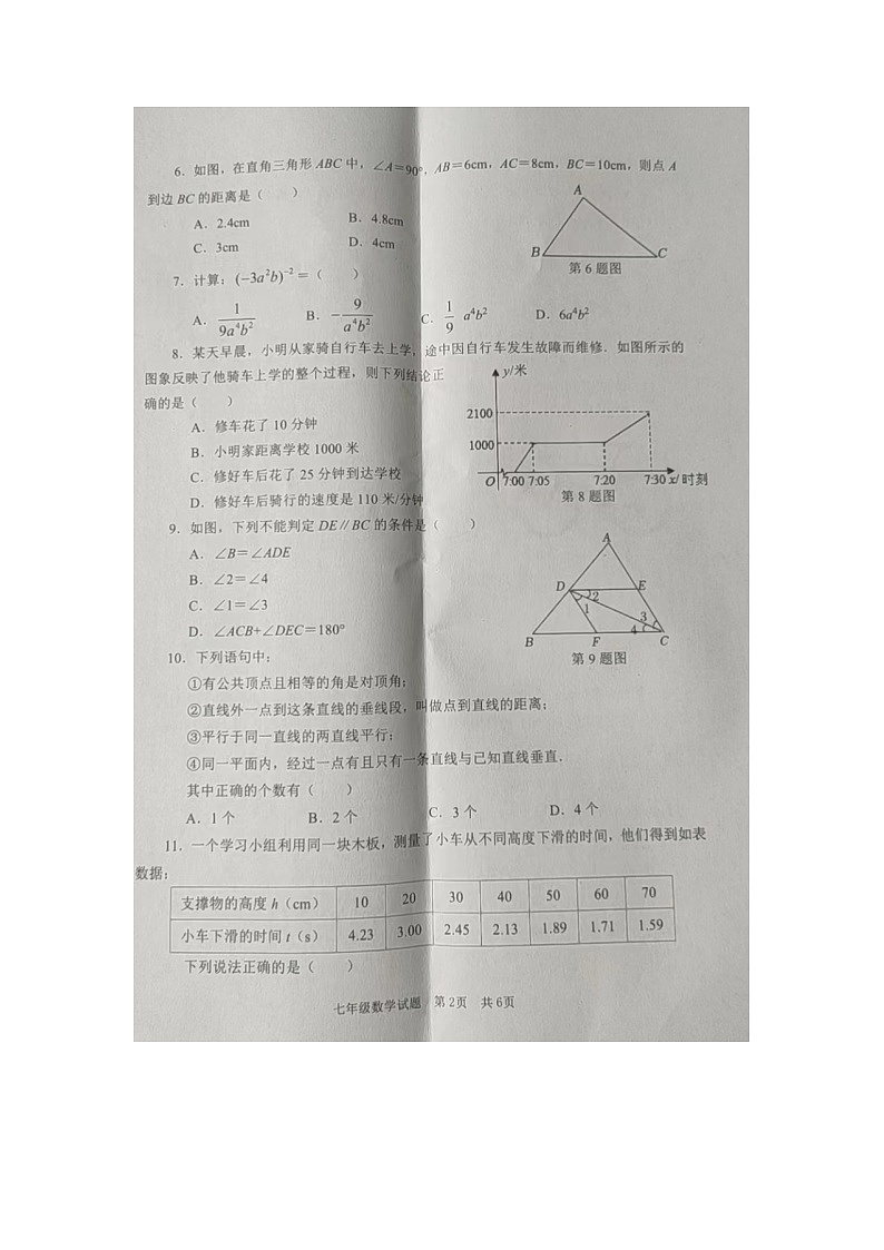 山东省枣庄市薛城区2021-2022学年鲁教版七年级下学期数学期中试题 （图片版含答案）第2页